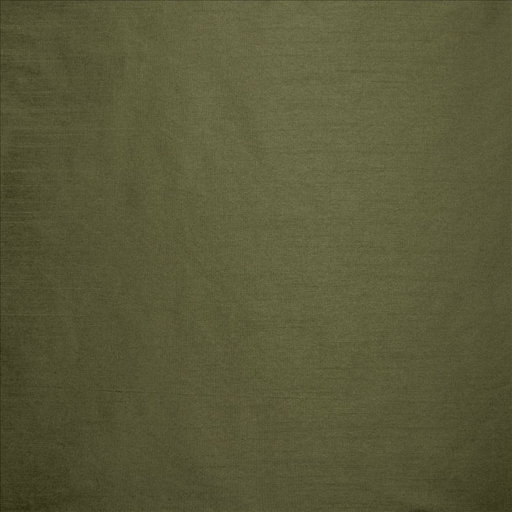 Complementary Pine by Kasmir Fabric 5168 100% Polyester
 INDIA Not Tested </p><p>Repeat: Horizontal: N/A and Vertical: N/A 54 - Fabric Carolina -