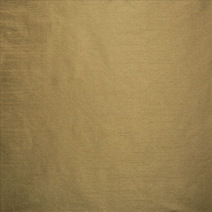 Complementary Reed by Kasmir Fabric 5168 100% Polyester
 INDIA </p><p>Repeat: Horizontal: N/A and Vertical: N/A 54 - Fabric Carolina -