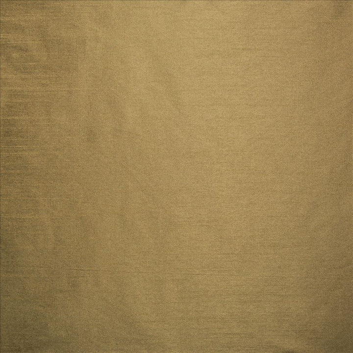 Complementary Reed by Kasmir Fabric 5168 100% Polyester
 INDIA Not Tested </p><p>Repeat: Horizontal: N/A and Vertical: N/A 54 - Fabric Carolina -