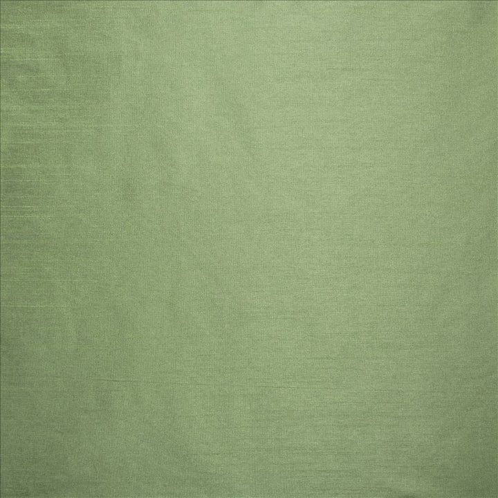 Complementary Sage  by Kasmir Fabric See sample 100% Polyester
 INDIA Not Tested </p><p>Repeat: Horizontal: N/A and Vertical: N/A 54  - Fabric Carolina -
