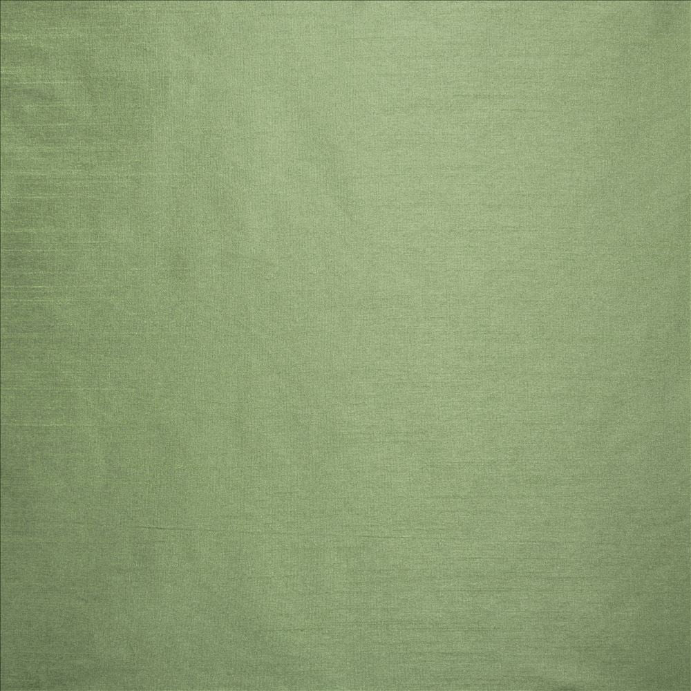 Complementary Sage by Kasmir Fabric 5168 100% Polyester
 INDIA </p><p>Repeat: Horizontal: N/A and Vertical: N/A 54 - Fabric Carolina -