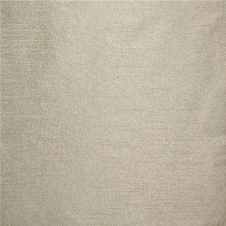 Complementary Seal by Kasmir Fabric 5168 100% Polyester
 INDIA Not Tested </p><p>Repeat: Horizontal: N/A and Vertical: N/A 54 - Fabric Carolina -