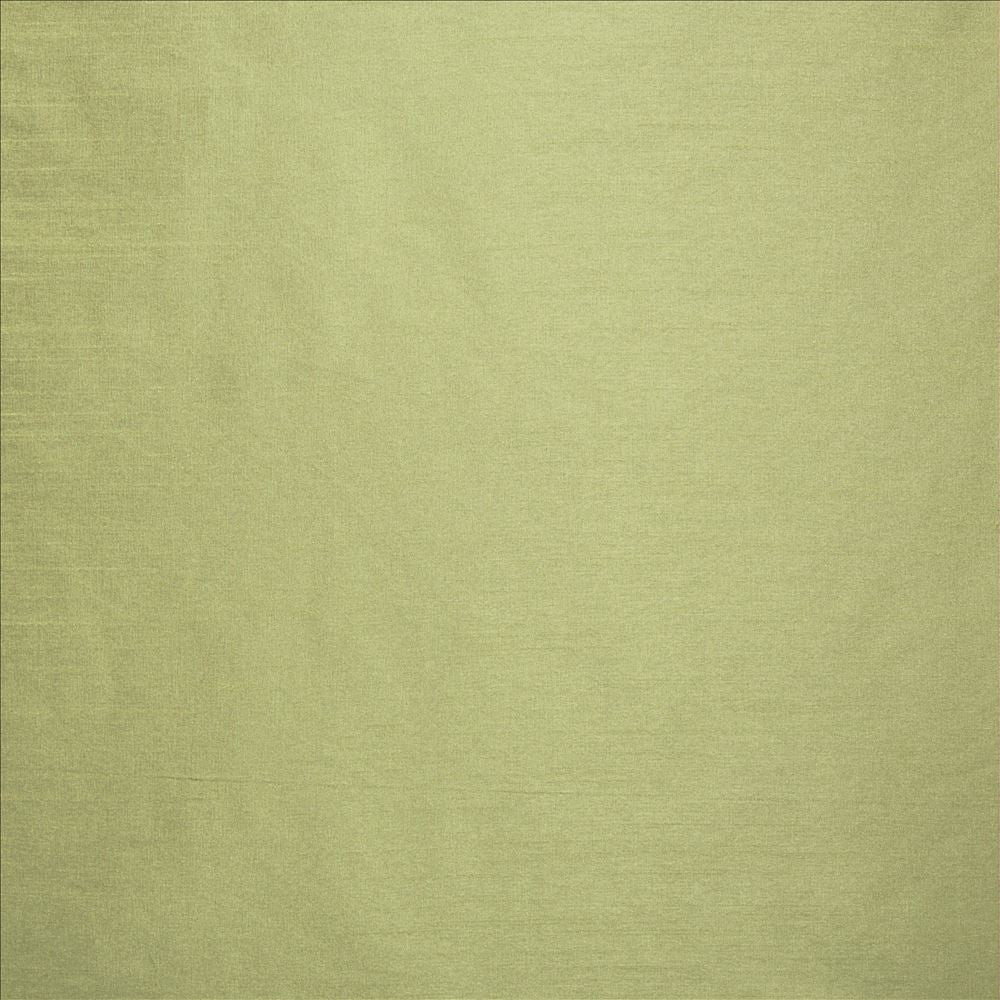 Complementary Stem by Kasmir Fabric 5168 100% Polyester
 INDIA Not Tested </p><p>Repeat: Horizontal: N/A and Vertical: N/A 54 - Fabric Carolina -