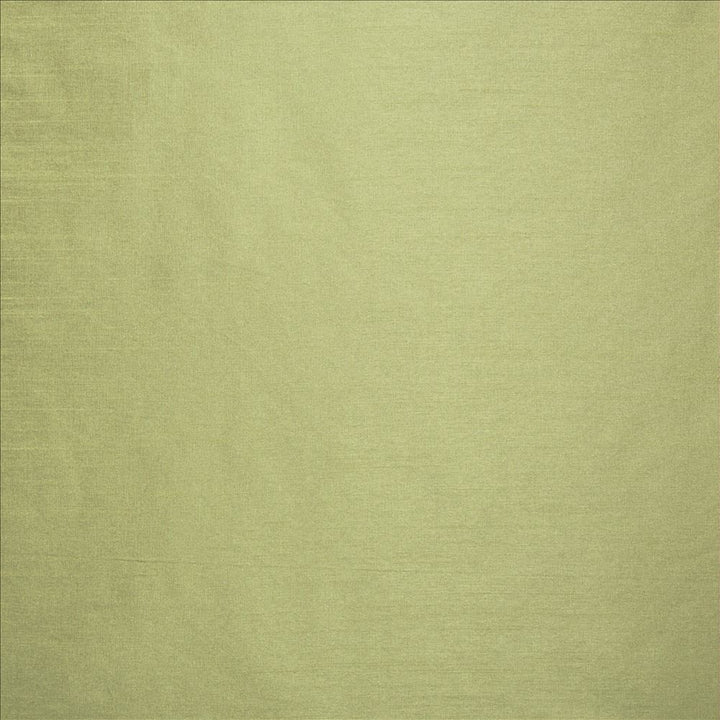 Complementary Stem by Kasmir Fabric 5168 100% Polyester
 INDIA Not Tested </p><p>Repeat: Horizontal: N/A and Vertical: N/A 54 - Fabric Carolina -