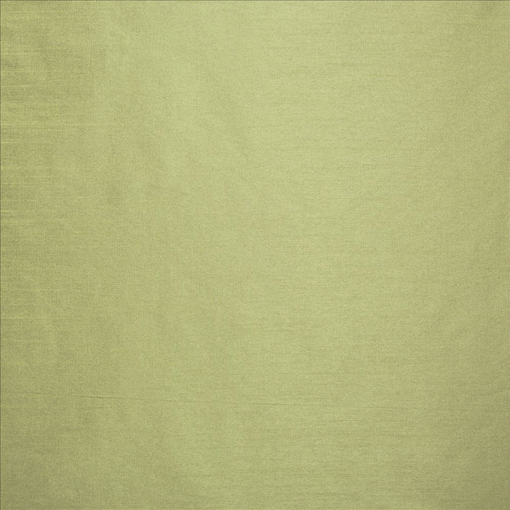 Complementary Stem  by Kasmir Fabric See sample 100% Polyester
 INDIA Not Tested </p><p>Repeat: Horizontal: N/A and Vertical: N/A 54  - Fabric Carolina -
