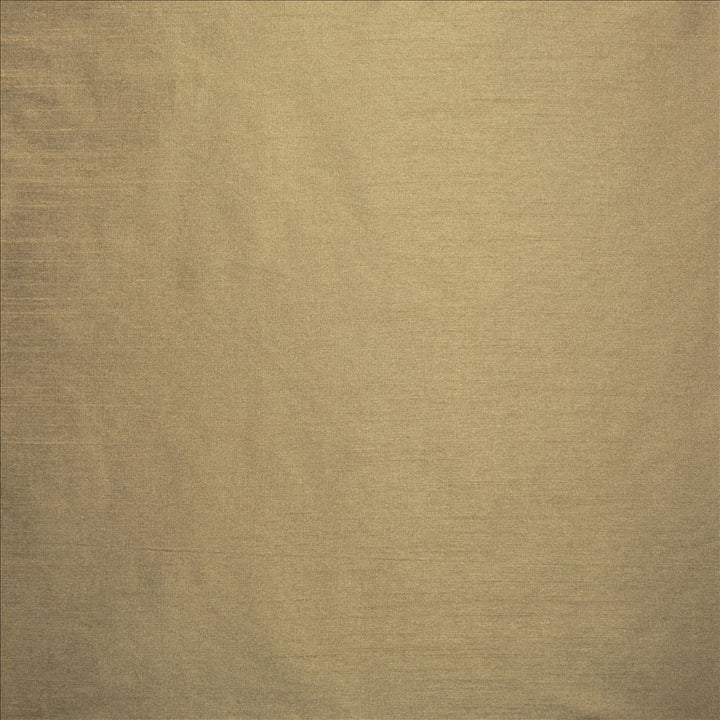 Complementary Taupe by Kasmir Fabric 5168 100% Polyester
 INDIA Not Tested </p><p>Repeat: Horizontal: N/A and Vertical: N/A 54 - Fabric Carolina -