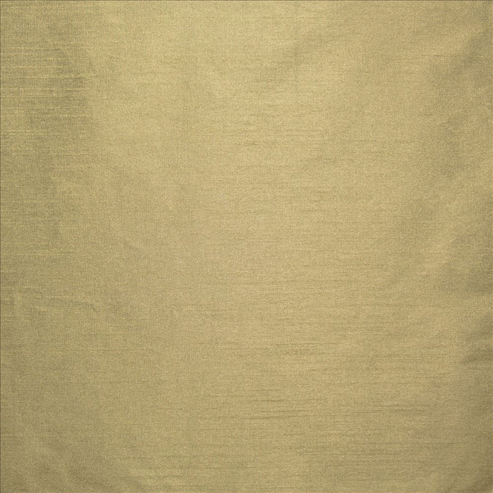 Complementary Truffle by Kasmir Fabric 5168 100% Polyester
 INDIA Not Tested </p><p>Repeat: Horizontal: N/A and Vertical: N/A 54 - Fabric Carolina -