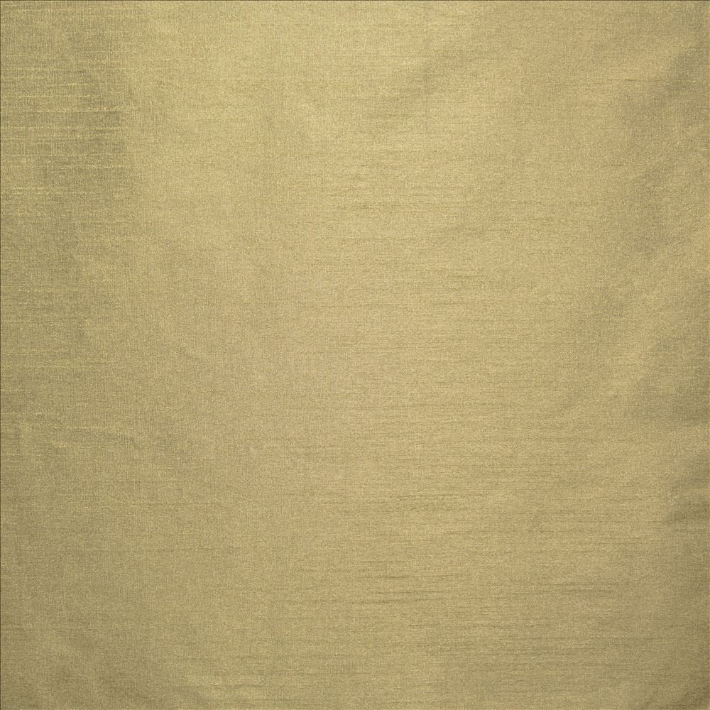Complementary Truffle by Kasmir Fabric 5168 100% Polyester
 INDIA Not Tested Horizontal: N/A and Vertical: N/A 54 - Fabric Carolina -