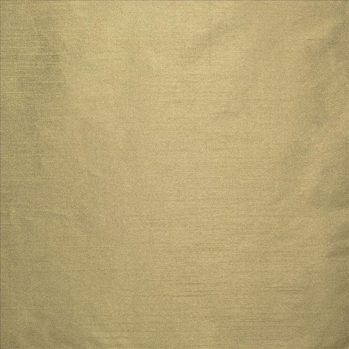 Complementary Truffle by Kasmir Fabric 5168 100% Polyester
 INDIA Not Tested Horizontal: N/A and Vertical: N/A 54 - Fabric Carolina -