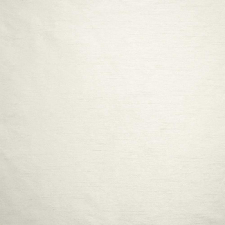 Complementary White by Kasmir Fabric 5168 100% Polyester
 INDIA </p><p>Repeat: Horizontal: N/A and Vertical: N/A 54 - Fabric Carolina -