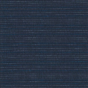 Concerto Midnight by Kasmir Fabric