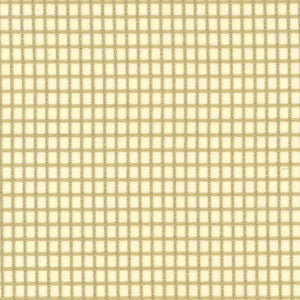 Concise Muslin by Kasmir Fabric