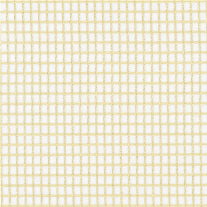 Concise Sand by Kasmir Fabric 5076 100% Polyester
 TURKEY Not Tested Horizontal: 2/8 inches and Vertical: 2/8 inches 118 - Fabric Carolina -