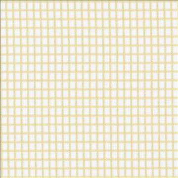 Concise Sand by Kasmir Fabric 5076 100% Polyester TURKEY Not Tested H: 2/8 inches, V: 2/8 inches 118 - Fabric Carolina - Kasmir