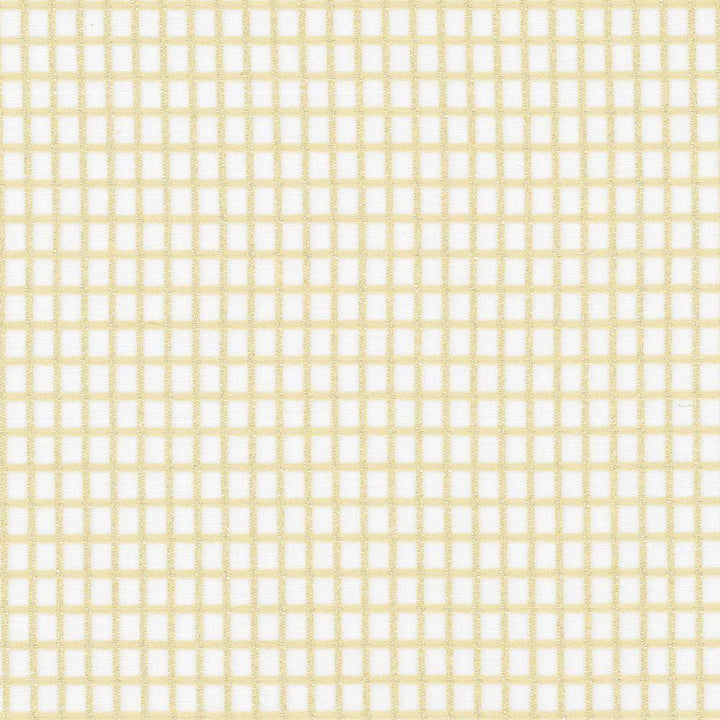 Concise Sand by Kasmir Fabric 5076 100% Polyester TURKEY Not Tested H: 2/8 inches, V:2/8 inches 118 - Fabric Carolina - Kasmir