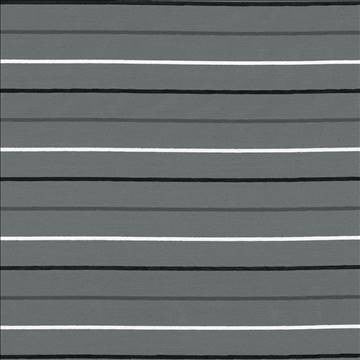 Concise Stripe Graphite by Kasmir Fabric 8004 76% Polyester 24% Cotton GERMANY Not Tested H: N/A, V: 4 4/8 inches 60 - Fabric Carolina - Kasmir