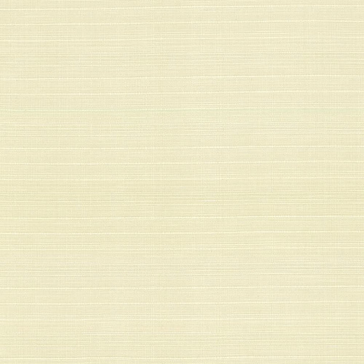 Concorde Cream by Kasmir Fabric 5029 80% Cotton
20% Linen
 USA </p><p>Repeat: Horizontal: N/A and Vertical: N/A 54 - 56 - Fabric Carolina -