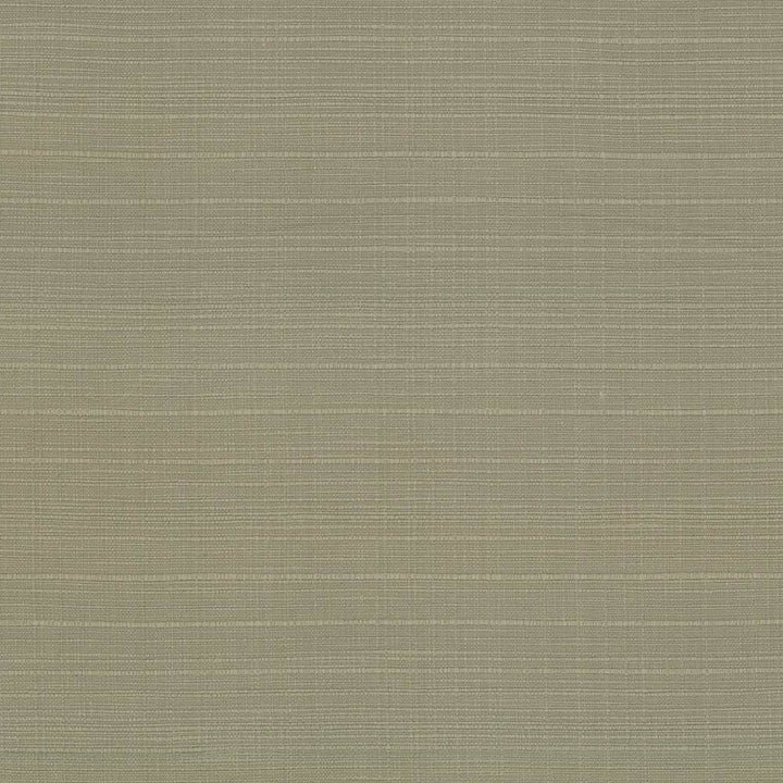 Concorde Leek by Kasmir Fabric 5029 80% Cotton
20% Linen
 USA 15,000 Wyzenbeek Double Rubs </p><p>Repeat: Horizontal: N/A and Vertical: N/A 54 - Fabric Carolina -