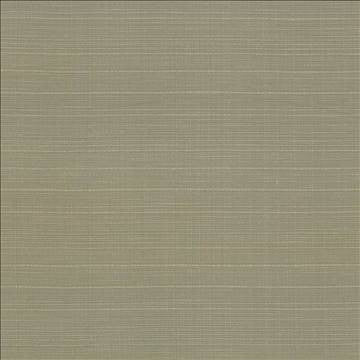 Concorde Leek by Kasmir Fabric 5029 80% Cotton 20% Linen USA 15,000 Wyzenbeek Double Rubs H: N/A, V: N/A 54 - 56 - Fabric Carolina - Kasmir