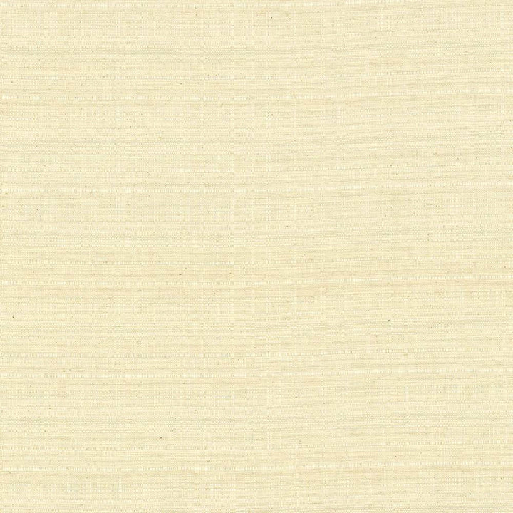 Concorde Natural by Kasmir Fabric 5029 80% Cotton 20% Linen USA 15,000 Wyzenbeek Double Rubs H: N/A, V:N/A 54 - 56 - Fabric Carolina - Kasmir