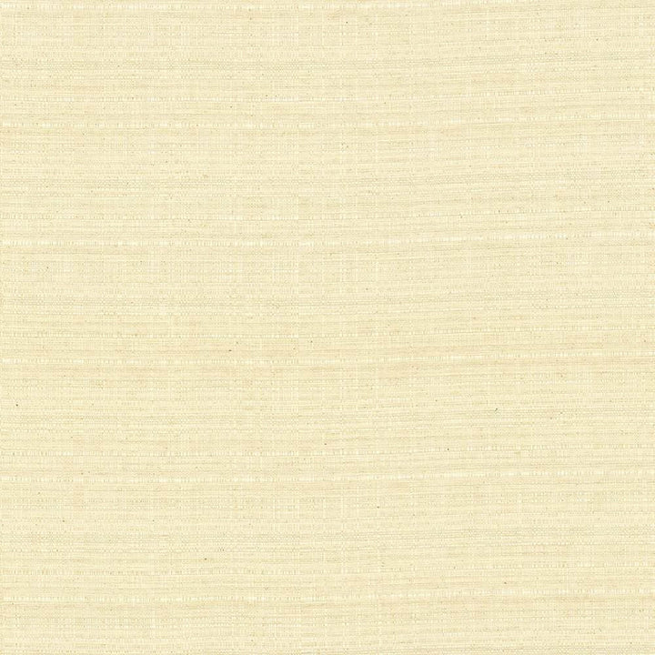 Concorde Natural by Kasmir Fabric 5029 80% Cotton
20% Linen
 USA 15,000 Wyzenbeek Double Rubs Horizontal: N/A and Vertical: N/A 54 - Fabric Carolina -