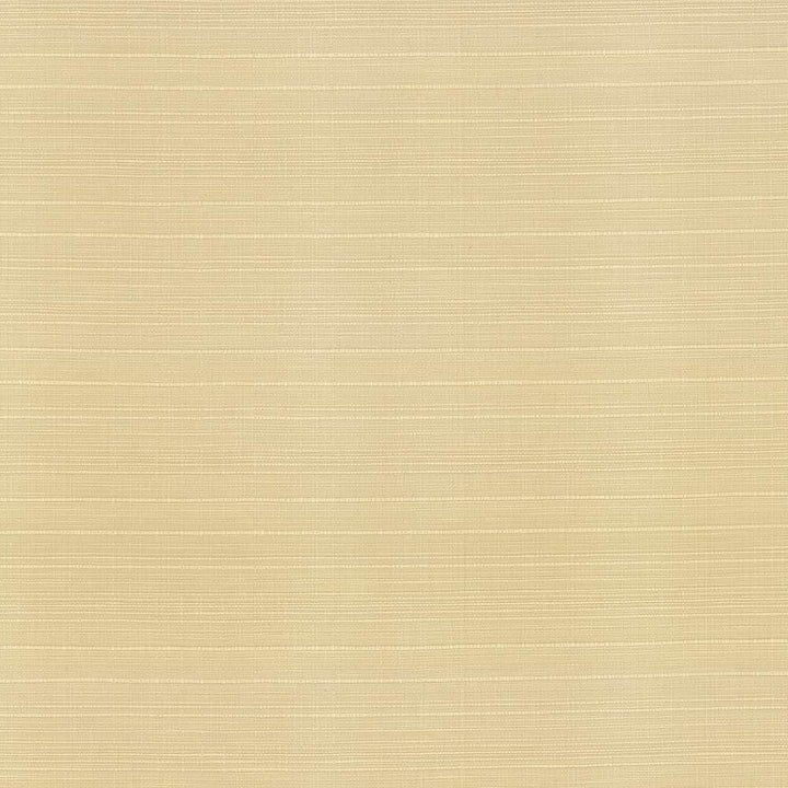 Concorde Oatmeal by Kasmir Fabric 5029 80% Cotton
20% Linen
 USA 15,000 Wyzenbeek Double Rubs </p><p>Repeat: Horizontal: N/A and Vertical: N/A 54 - Fabric Carolina -