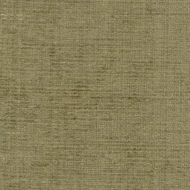 Condie Texture Sage by Kasmir Fabric 1403 100% Polyester INDIA Not Tested H: N/A, V:N/A 54 - 55 - Fabric Carolina - Kasmir