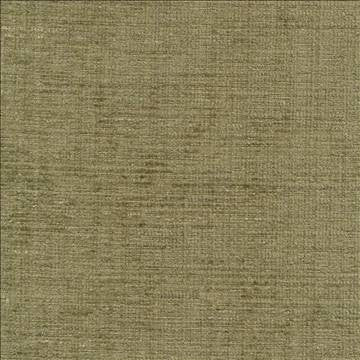 Condie Texture Sage by Kasmir Fabric 1403 100% Polyester INDIA Not Tested H: N/A, V: N/A 54 - 55 - Fabric Carolina - Kasmir