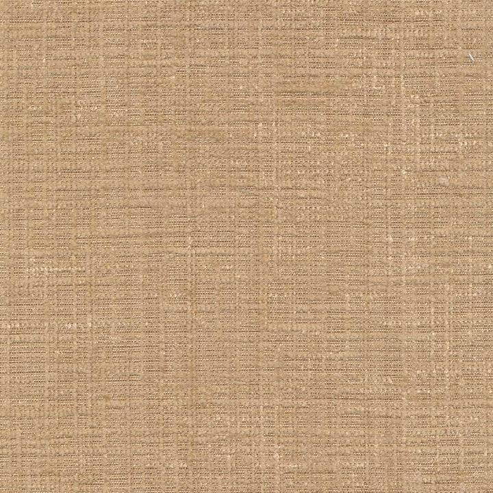 Condie Texture Wheat by Kasmir Fabric 1402 100% Polyester INDIA Not Tested H: N/A, V:N/A 54 - 55 - Fabric Carolina - Kasmir