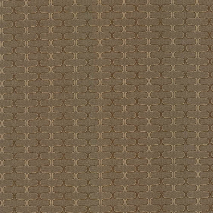 Conga Line Acorn by Kasmir Fabric 5084 100% Polyester CHINA 30,000 Martindale Cycles H: 2 inches, V:1 inches 56 - Fabric Carolina - Kasmir
