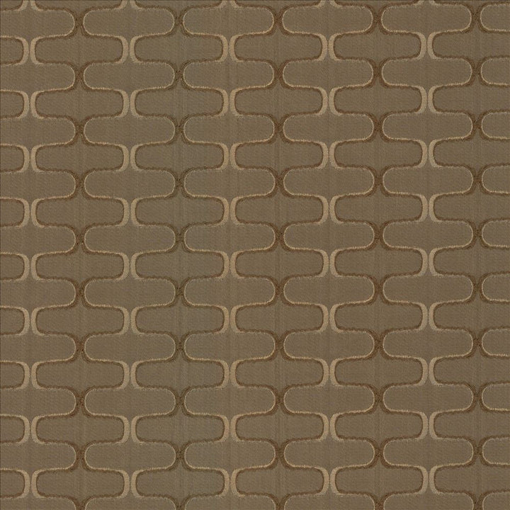 Conga Line Acorn  by Kasmir Fabric See sample 100% Polyester
 CHINA 30,000 Martindale Cycles </p><p>Repeat: Horizontal: 2 inches and Vertical: 1 inches 56  - Fabric Carolina -