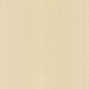 Conga Line Alabaster by Kasmir Fabric