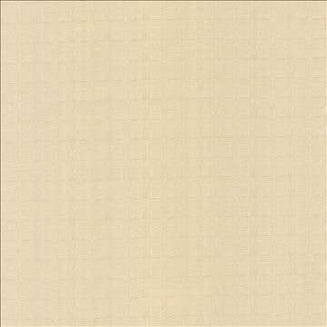 Conga Line Alabaster by Kasmir Fabric 5083 100% Polyester CHINA 30,000 Martindale Cycles H: 2 inches, V: 1 inches 56 - Fabric Carolina - Kasmir