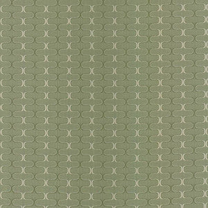 Conga Line Mint by Kasmir Fabric