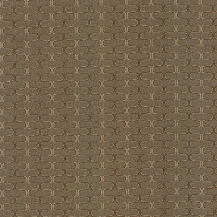 Conga Line Acorn by Kasmir Fabric 5084 100% Polyester
 CHINA </p><p>Repeat: Horizontal: 2 inches and Vertical: 1 inches 56 - Fabric Carolina -