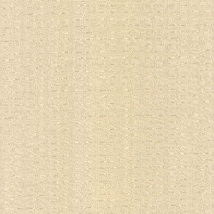 Conga Line Alabaster by Kasmir Fabric 5083 100% Polyester
 CHINA </p><p>Repeat: Horizontal: 2 inches and Vertical: 1 inches 56 - Fabric Carolina -