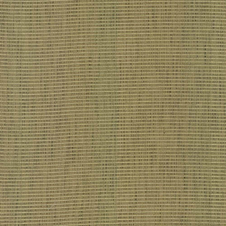 Contadina Kiwi by Kasmir Fabric 5099 100% Polyester CHINA 24,000 Wyzenbeek Double Rubs H: N/A, V: 2/8 inches 54 - 58 - Fabric Carolina - Kasmir