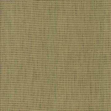 Contadina Kiwi by Kasmir Fabric 5099 100% Polyester CHINA 24,000 Wyzenbeek Double Rubs H: N/A, V: 2/8 inches 54 - 58 - Fabric Carolina - Kasmir