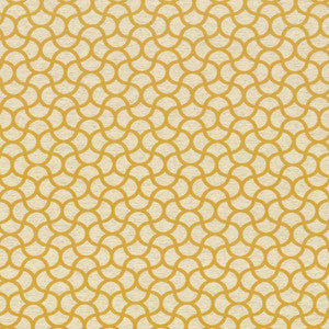 Coolrain Golden by Kasmir Fabric