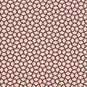 Coolrain Majesty by Kasmir Fabric