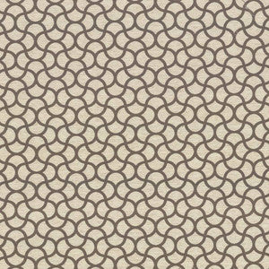 Coolrain Truffle by Kasmir Fabric