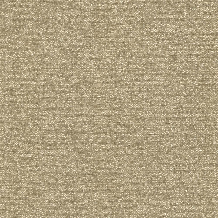 Copacabana Barley by Kasmir Fabric 5037 51% Cotton
49% Polyester
 TAIWAN 15,000 Wyzenbeek Double Rubs Horizontal: N/A and Vertical: N/A 54 - Fabric Carolina -