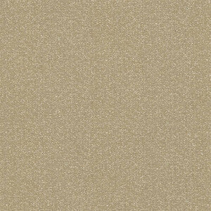 Copacabana Barley by Kasmir Fabric