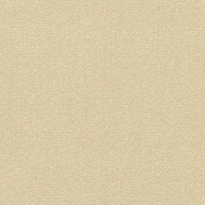 Copacabana Cashmere by Kasmir Fabric