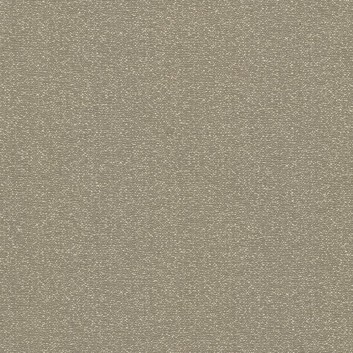 Copacabana Earth by Kasmir Fabric 5037 51% Cotton 49% Polyester TAIWAN 15,000 Wyzenbeek Double Rubs H: N/A, V:N/A 54 - 55 - Fabric Carolina - Kasmir