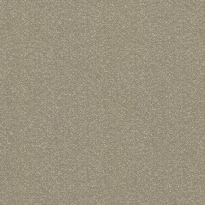 Copacabana Earth by Kasmir Fabric