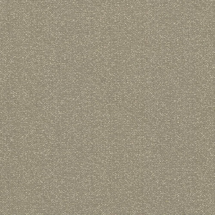 Copacabana Earth by Kasmir Fabric 5037 51% Cotton
49% Polyester
 TAIWAN </p><p>Repeat: Horizontal: N/A and Vertical: N/A 54 - 55 - Fabric Carolina -