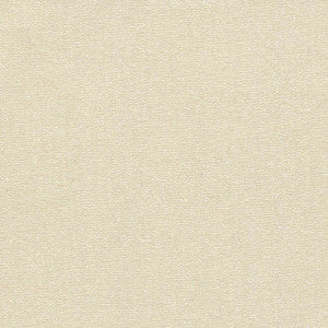 Copacabana Fawn by Kasmir Fabric