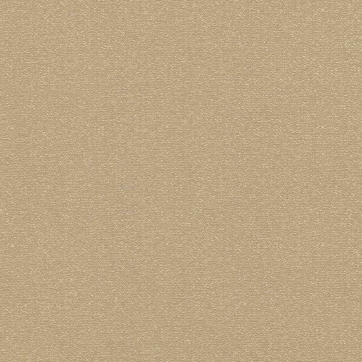 Copacabana Latte by Kasmir Fabric 5037 51% Cotton 49% Polyester TAIWAN 15,000 Wyzenbeek Double Rubs H: N/A, V:N/A 54 - 55 - Fabric Carolina - Kasmir