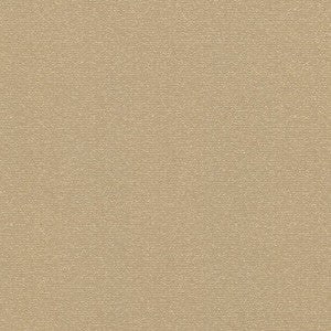 Copacabana Latte by Kasmir Fabric